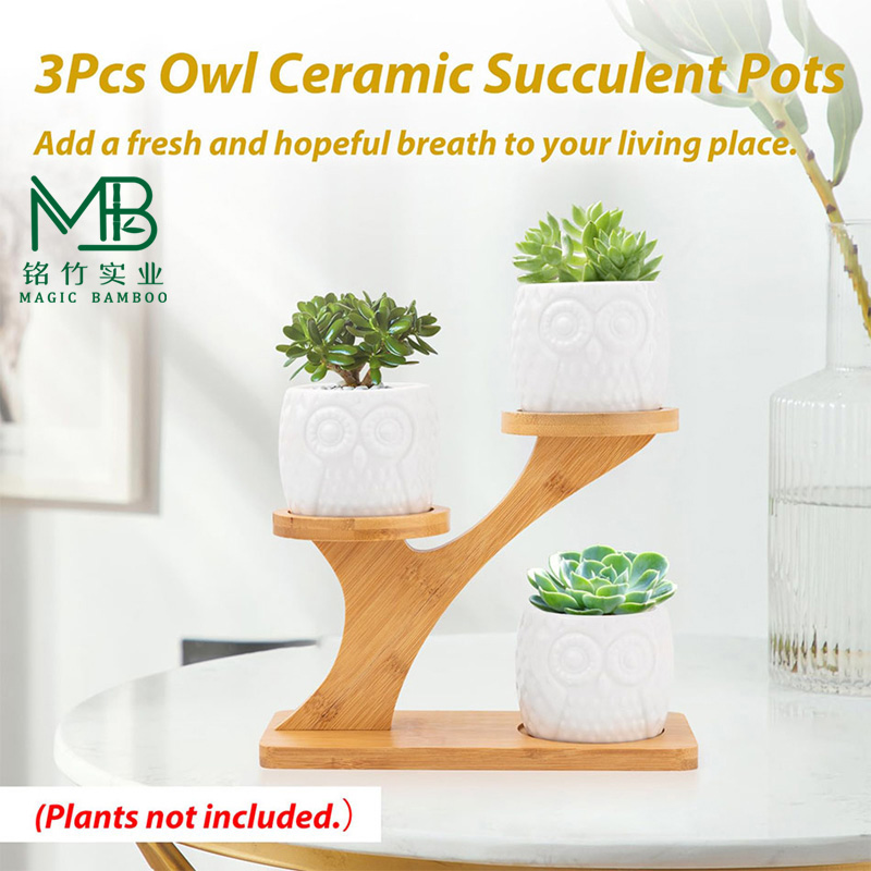 Plant shelf-5